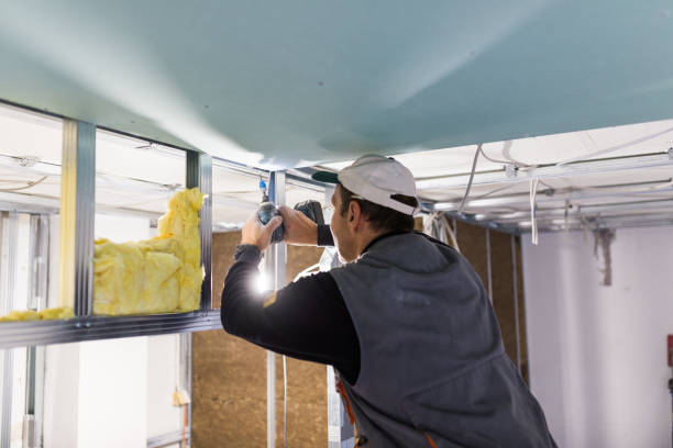 Best Blown-in Insulation in Potosi, TX