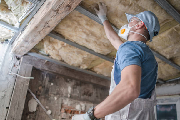 Best Spray Foam Insulation in Potosi, TX