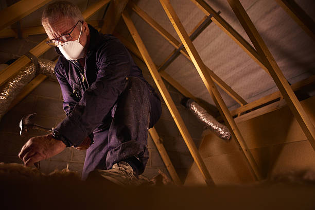 Best Cellulose Insulation in Potosi, TX