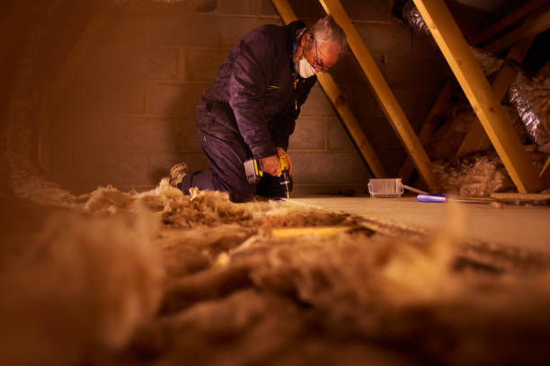 Best Eco-Friendly Insulation in Potosi, TX
